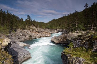 weekend favorieten weekend