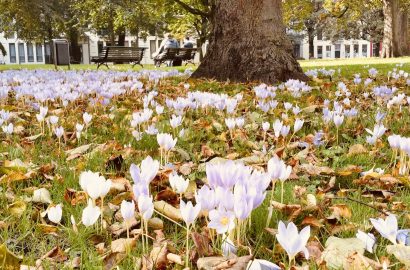 September weekend favorieten