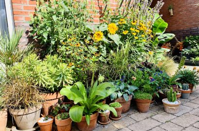 pottenborder tuinpraat jannekes wereld