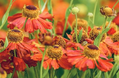 weekend favorieten, weekend