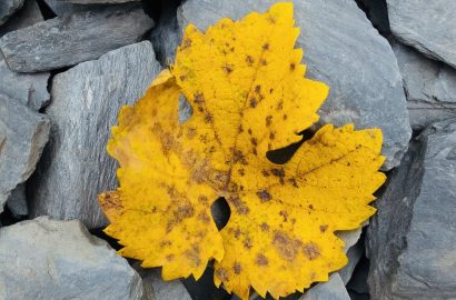 weekend favorieten herfst onrust onstuimig rust