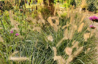 weekend favorieten kleine dingen