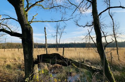 chaos weekend favorieten orde in chaos