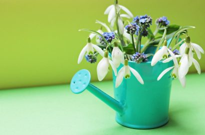 sneeuwklokje gieter weekend