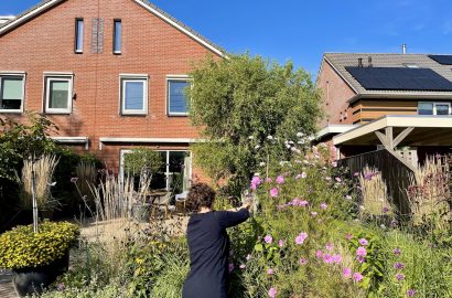 tuinklusjes herfst Janneke