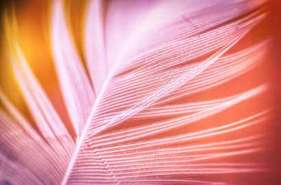 close up veer bij artikel over energie