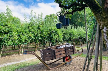 Boomgaard Luingahof, buiten zijn en doe offline hobby's