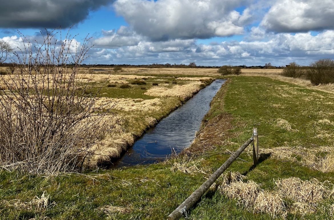 landschap met sloot bij blog over gedicht loslaten van Nelson Mandela