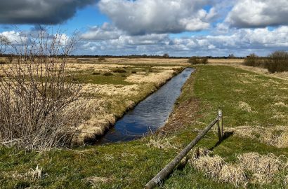 landschap met sloot bij blog over gedicht loslaten van Nelson Mandela