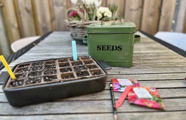 Nieuw tuinseizoen: zaaien van eenjarigen