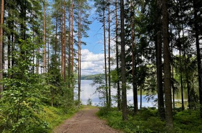 Landschap in Finland met bomen en uitzicht op meer, dat rustgevend oogt