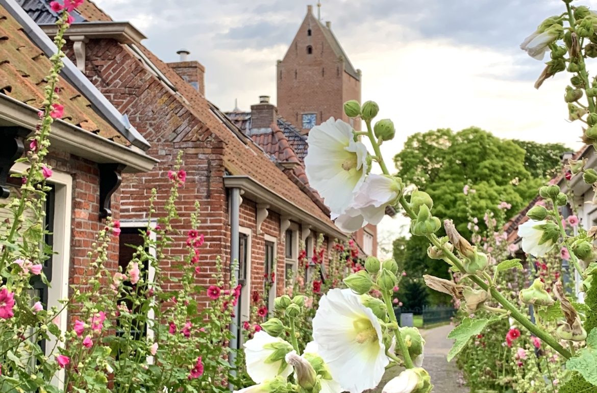 Stokrozen in straatje in Garnwerd, als hoofdfoto in blog weekend favorieten over diabolo potten maken en veel zomerse tips