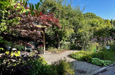 overzichtsfoto van de nieuwe tuin in Groningen