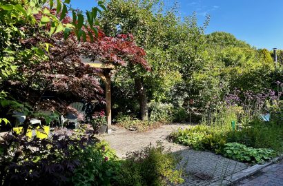 overzichtsfoto van de nieuwe tuin in Groningen