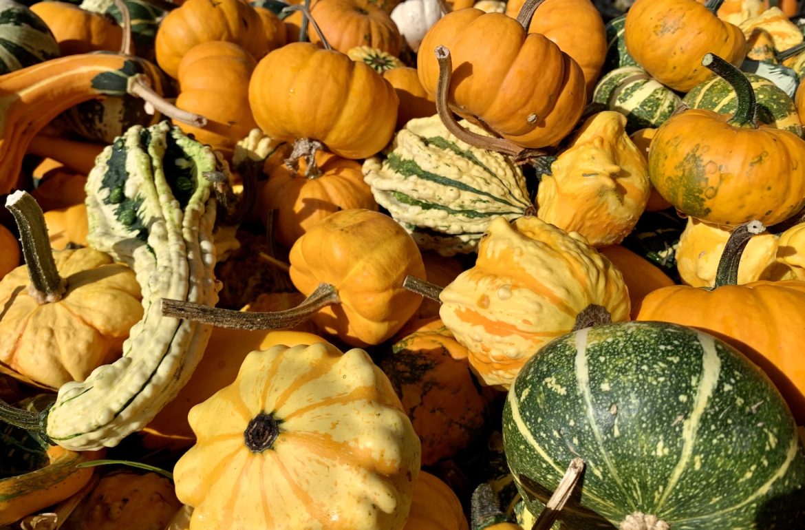 kalebassen, spice, najaar, kruidig