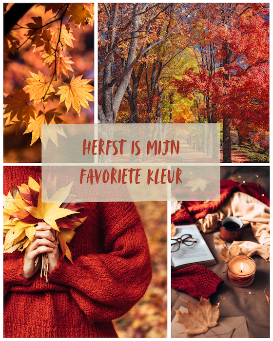 herfstquote: herfst is mijn favoriete kleur
