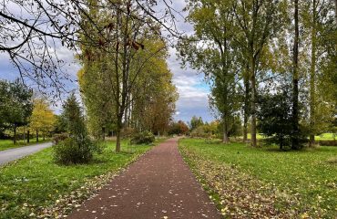 Herfstpad met blauwe lucht: het is bijna wintertijd maar nog wel steeds herfst.