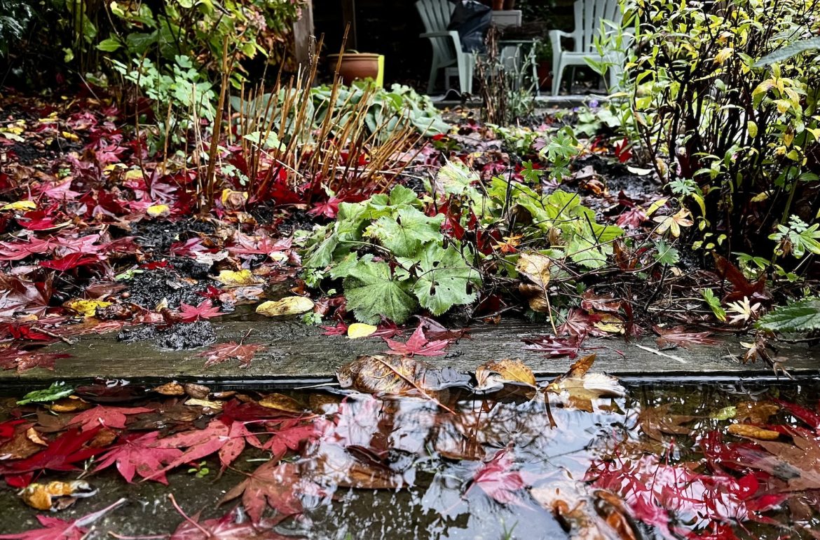 een natte november in de tuin. foto met plassen water en gevallen blad in de tuin met op de achtergrond onze shed met tuinstoelen