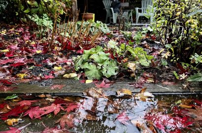 een natte november in de tuin. foto met plassen water en gevallen blad in de tuin met op de achtergrond onze shed met tuinstoelen