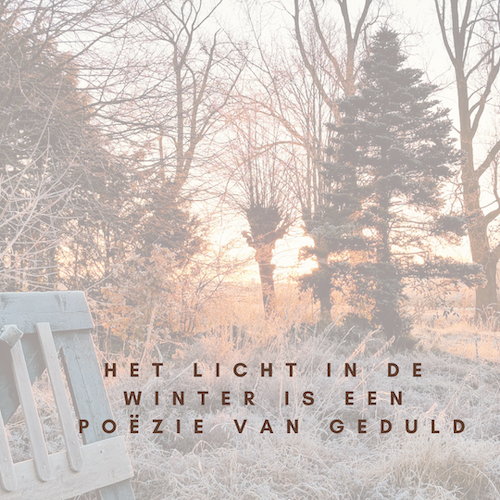 Quote: het licht in de winter is een poëzie van geduld