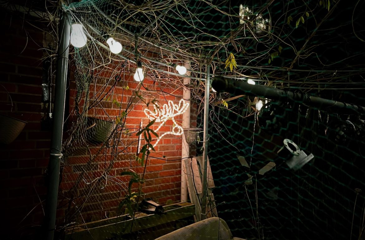 lichtjes tijdens mijn avondwandelingen in december