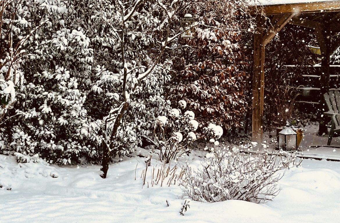 winters plaatje uit de tuin, dikke laag sneeuw en dus lekker binnen blijven met allerlei kleine dingen die voelen als kleine luxes