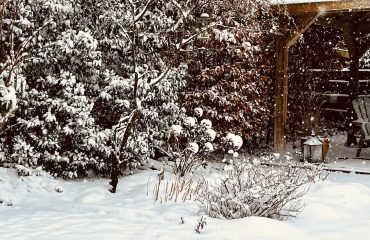 winters plaatje uit de tuin, dikke laag sneeuw en dus lekker binnen blijven met allerlei kleine dingen die voelen als kleine luxes