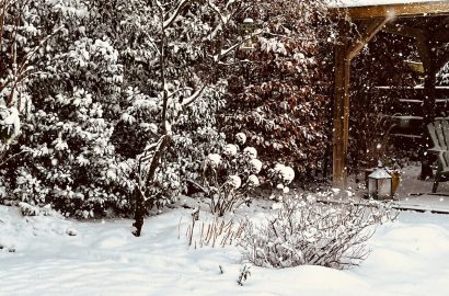 winters plaatje uit de tuin, dikke laag sneeuw en dus lekker binnen blijven met allerlei kleine dingen die voelen als kleine luxes