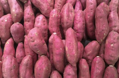 zoete aardappel koken pureren bakken gezond