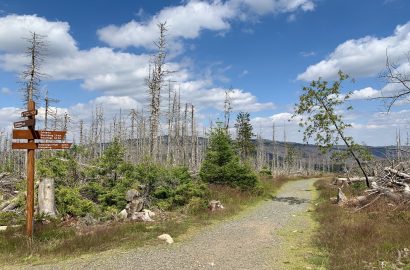 harz harzgebergte Duitsland wandelen
