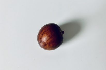 avocadopit ontkiemen