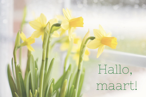 weekend favorieten hallo maart narcissen