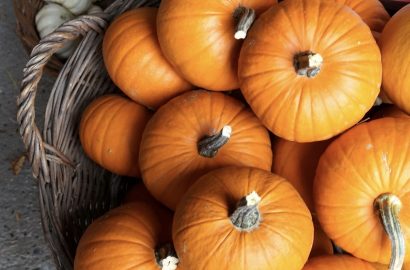 pompoen oranje pompoenen in mand