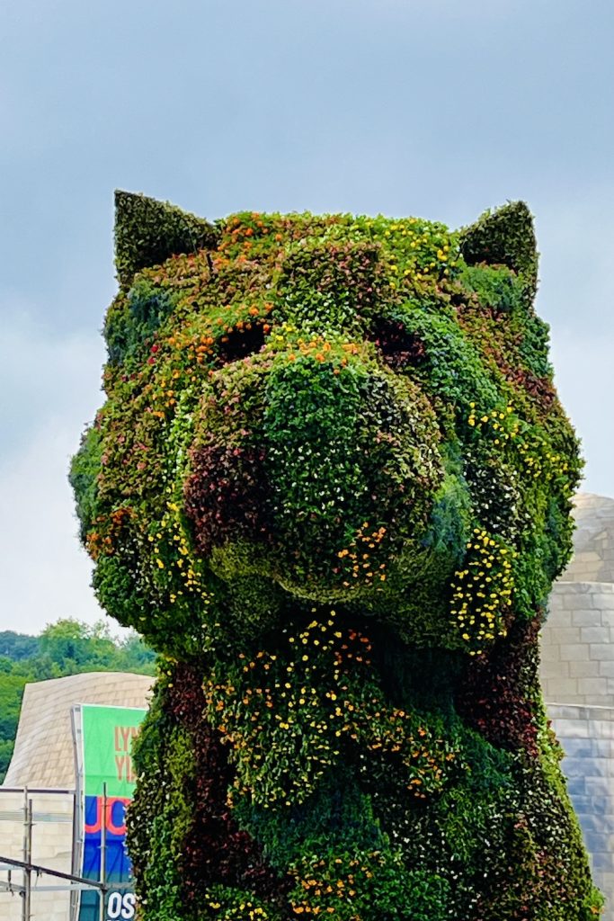 Puppy by Jeff Koons(Just  replanted and rather green and lush)