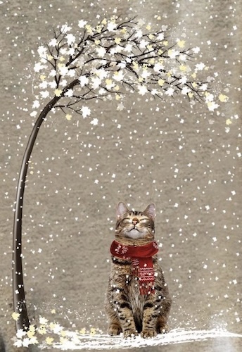 illustratie van kat met rode sjaal in de sneeuw bij laatste blog van 2023 op jannekeswereld.nl