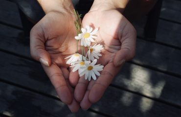 handen met bloemetje bij blog over dingen geven zonder dat het je geld kost