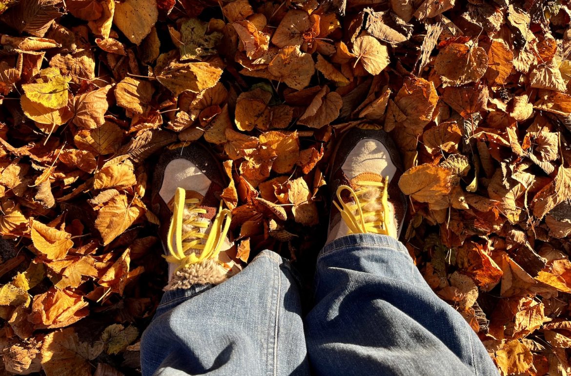 schoenen in bladeren met zonlicht