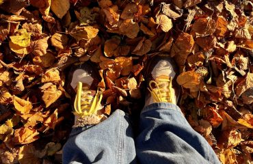 schoenen in bladeren met zonlicht