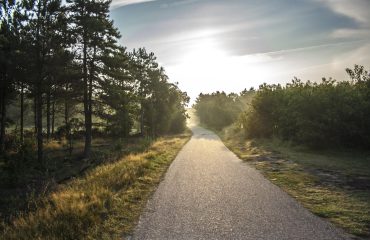 Fietspad Ameland, weekend favorieten