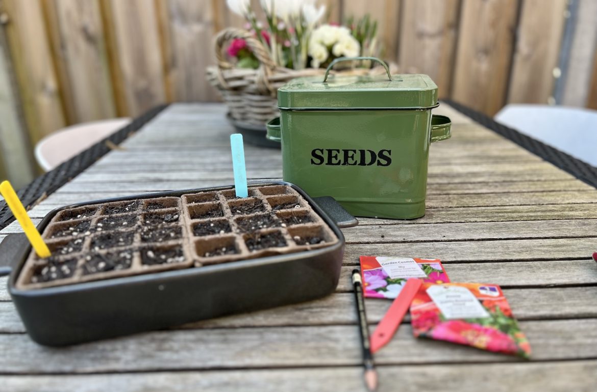 Nieuw tuinseizoen: zaaien van eenjarigen