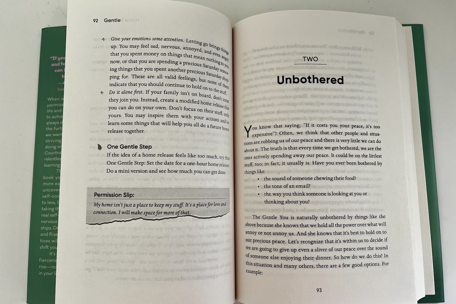 Gentle: hoofdstuk Unbothered.