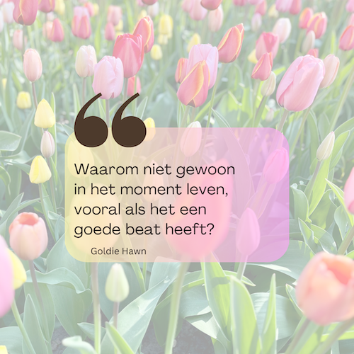 Quote Goldie Hawn met een achtergrond een veld vol tulpen. De quote luidt: waarom niet gewoon in het moment leven, vooral als het een goede beat heeft?