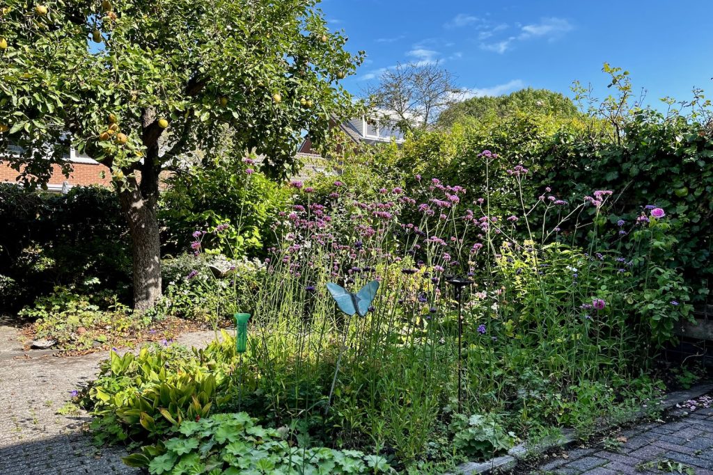 foto van mijn tuin - jannekeswereld 